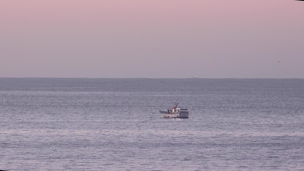 갈매기와 함께 어부 보트의 놀라운 드론 샷, 어망에서 물고기를 잡기 위해 보트를 따라가는 갈매기