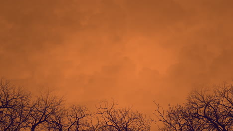 Old-trees-of-forest-and-dramatic-sky-in-night-time