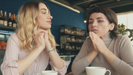 young blonde and brunette female friends sharing moments and talking in a coffee shop