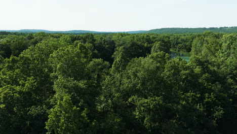 Flying-Above-Lush-Green-Forest-And-River-In-AR,-USA---drone-shot