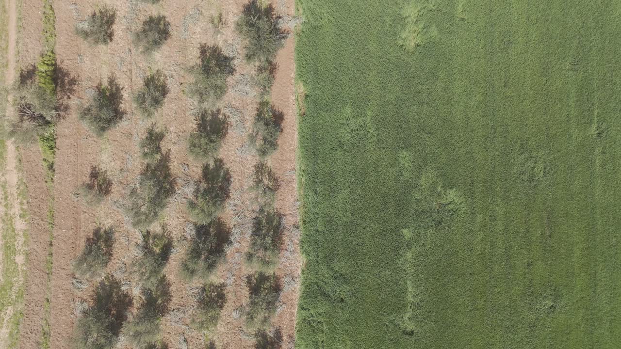 avión no tripulado volando sobre un campo