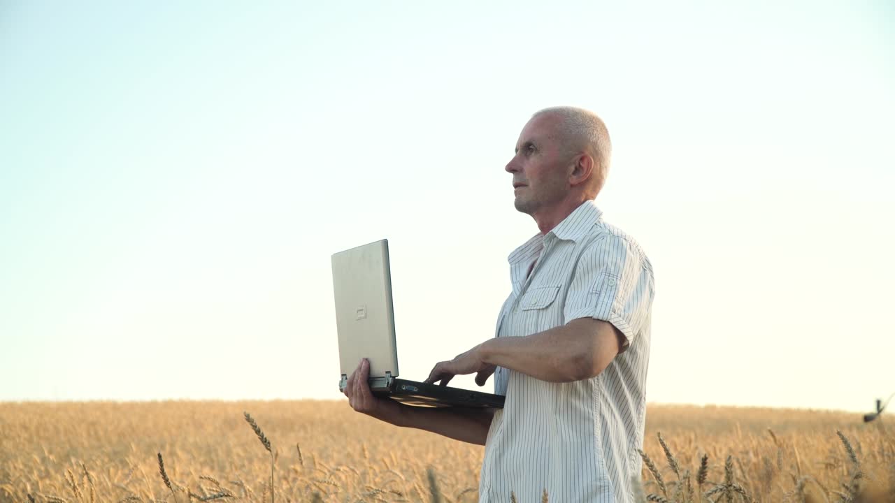 granjero sénior usando una computadora portátil en el campo de trigo. concepto de tecnologías digitales en la agricultura