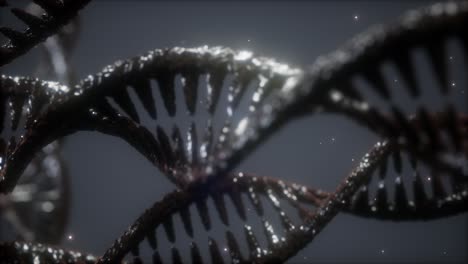 Estructura-De-Doble-Hélice-De-La-Animación-De-Primer-Plano-De-La-Hebra-De-Adn