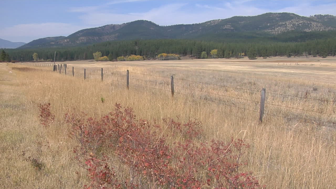 마른 초원을 가로지르는 나무와 철조망