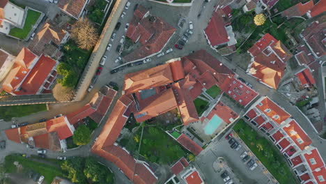 top town red rooftops at evening sunlight. urban streets and residential area