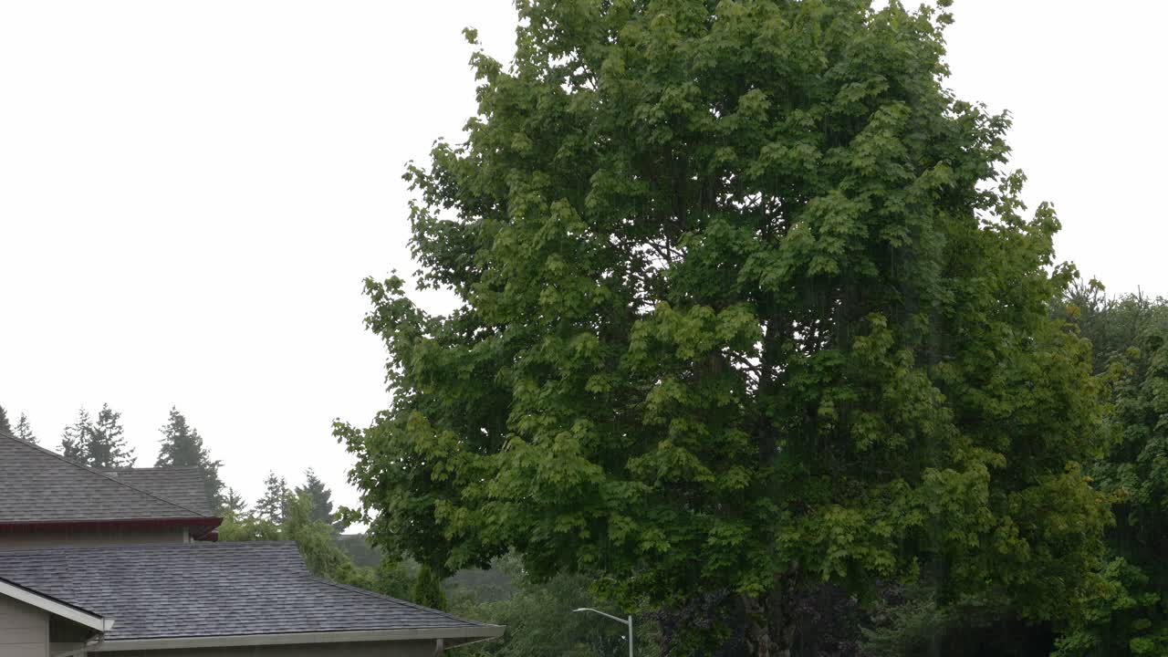 Rain falling on a cloudy day in town