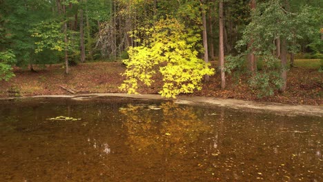 Gulbene-city-pond-and-park