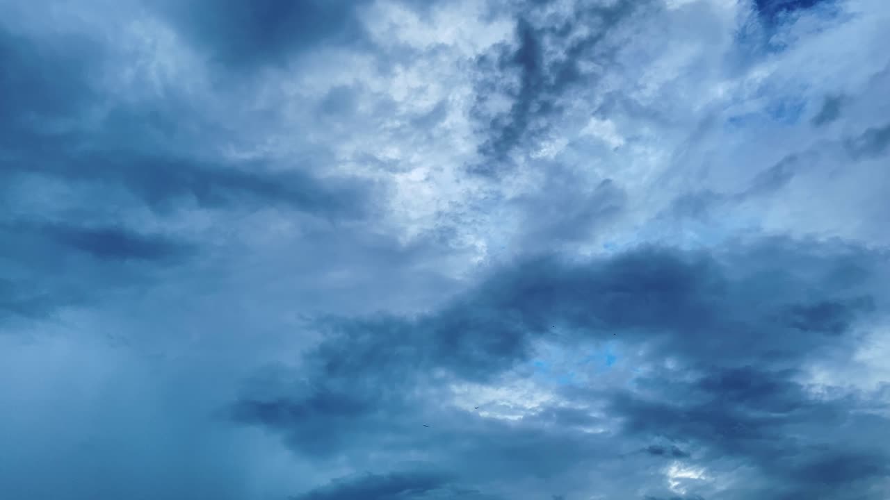 Eagles Soaring High Against A Cloudy Sky. Slow Motion Shot
