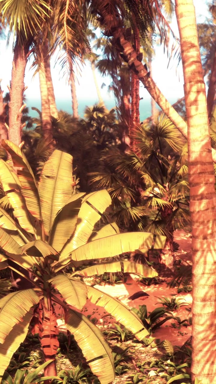 Paysage tropical avec des palmiers et de l'eau bleue visible en arrière-plan.