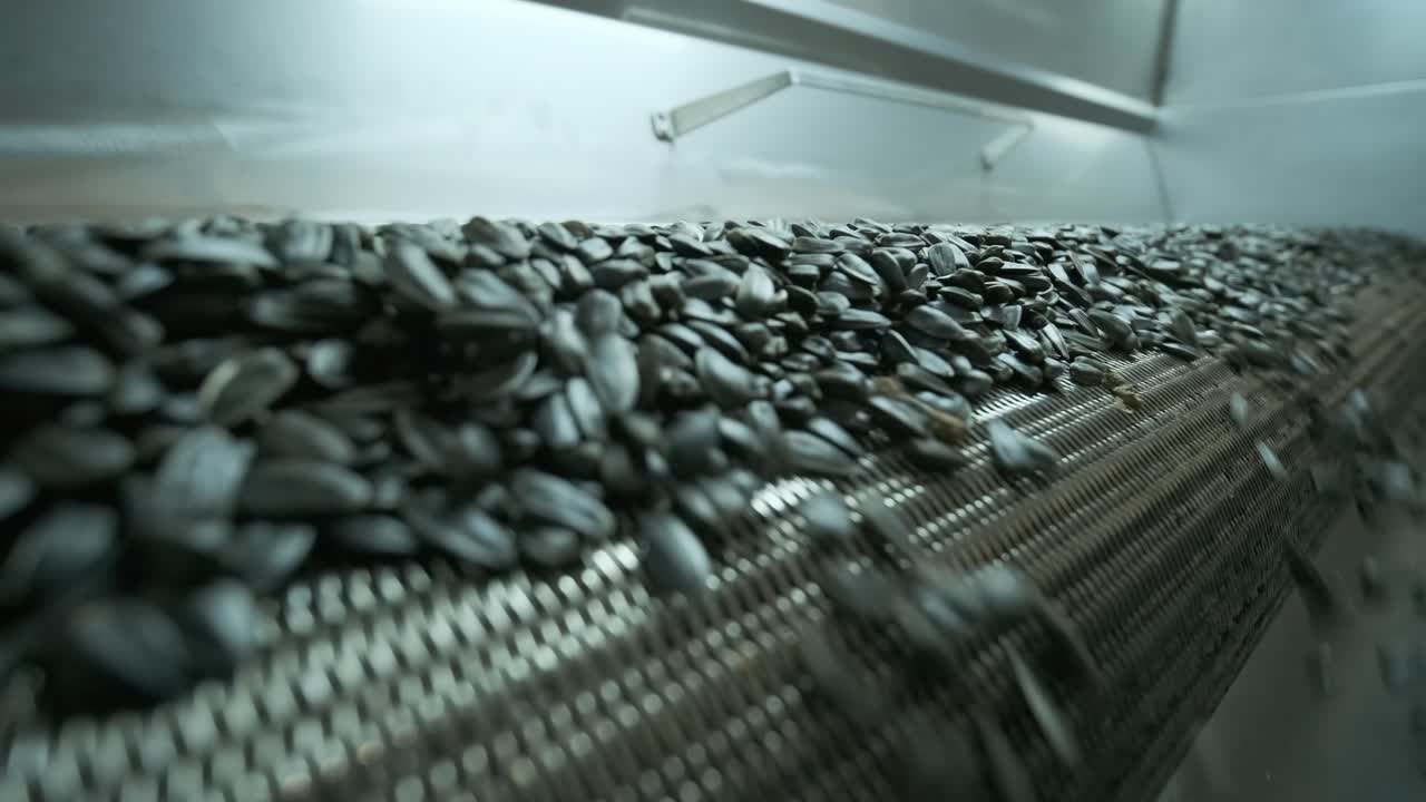 Many seeds. Sunflower seeds baking machine. Fried sunflower seeds come out of the car. Food production