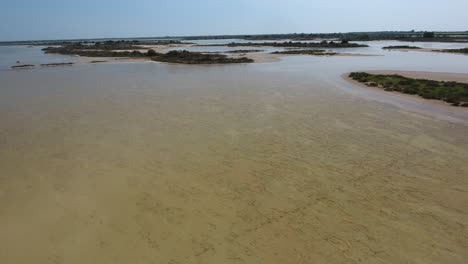 Low-altitude-drone-flight-over-salt-marsh-ecosystems,-sunny-day-in-south-of-Fran