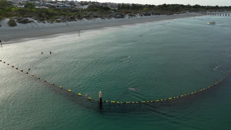 row of buoys separate ocean zone for swimmer, protecting against sharks in western australia - orbiting drone flight with dunes and sandy beach in background