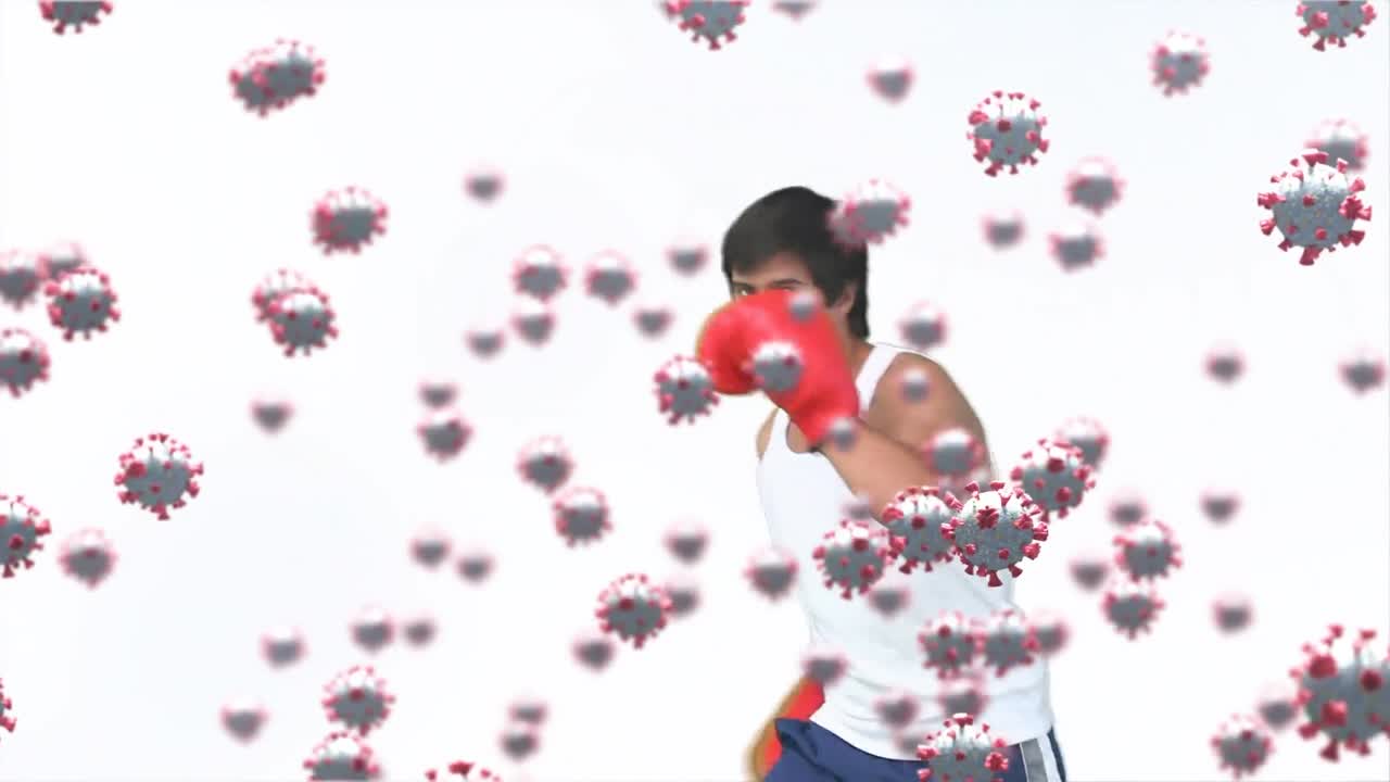 혼합 인종 남자 권투 위에 떠있는 바이러스 세포의 애니메이션