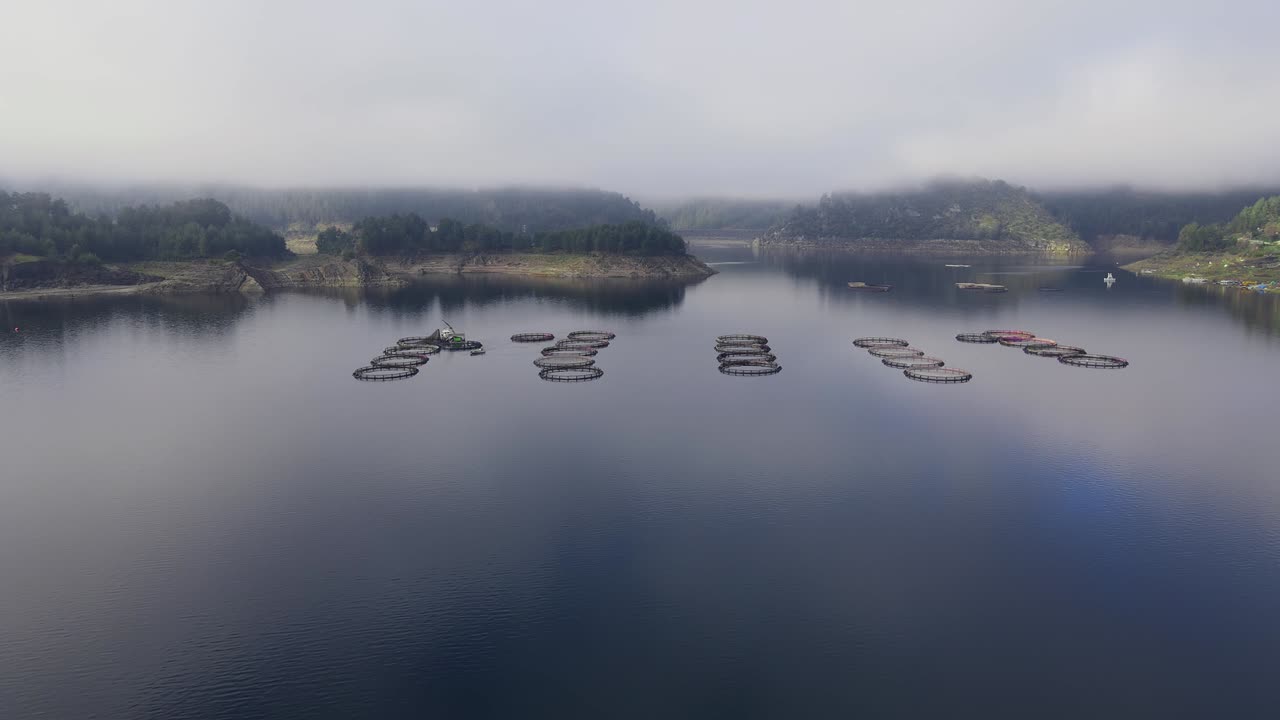 산악 호수에서 원형 케이지를 가진 생선 산업과 트로트 어류 농장