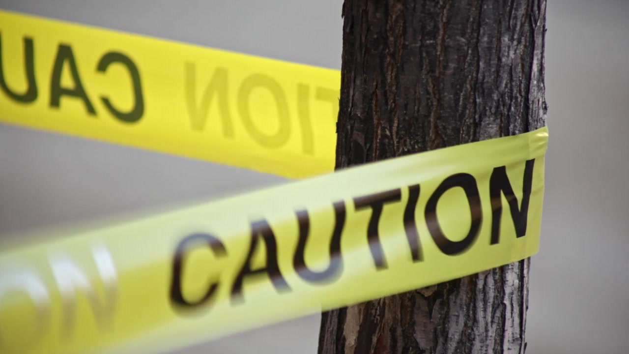 Caution tape wrapped around a tree.