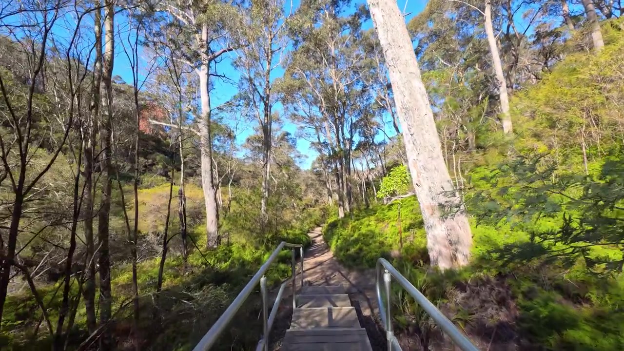 First-person perspective walking across a wooden bridge on a bushwalking trail in Wentworth Falls.