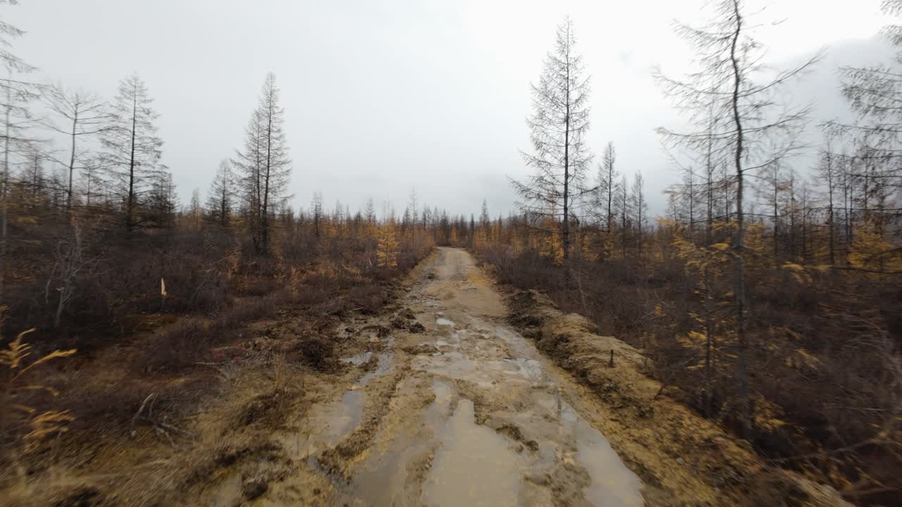 Immerse yourself in the serene beauty of Yakutia as the drone glides over winding paths and enchanting autumn foliage.