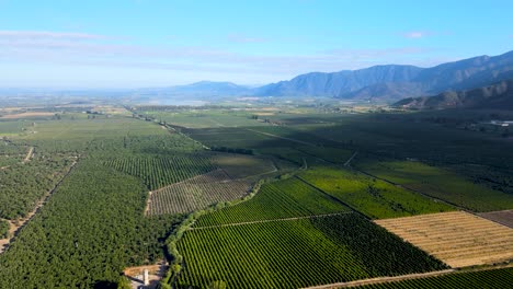 aerial dolly in of green farm fields and tree woods, mountains in background, on a cloudy day, cachapoal valley, south of santiago, chile