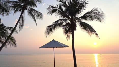 beach umbrella or sunshade and tropical palm trees silhouette at exotic island in philippines at colorful sunset, sun close to horizon