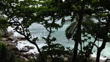 ocean waves crashing on a rocky shore through lush tropical trees