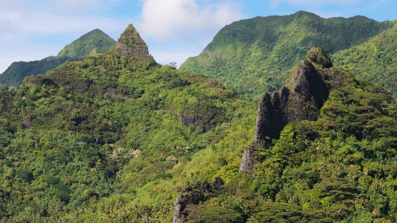 vuelo de avión no tripulado alrededor del bosque de la polinesia francesa