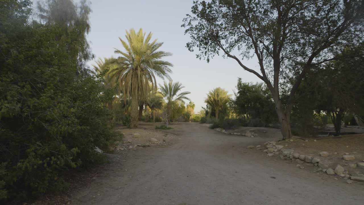 Neot Smadar scenic dirt kibbutz track surrounded by palm trees and woodland foliage Southern Israel
