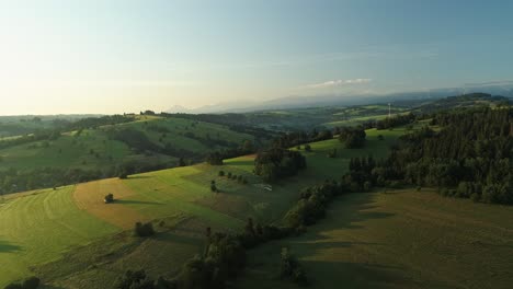 paisaje rural panorámico con pastos verdes y prados con rebaños de ovejas pastando - toma aérea de un dron