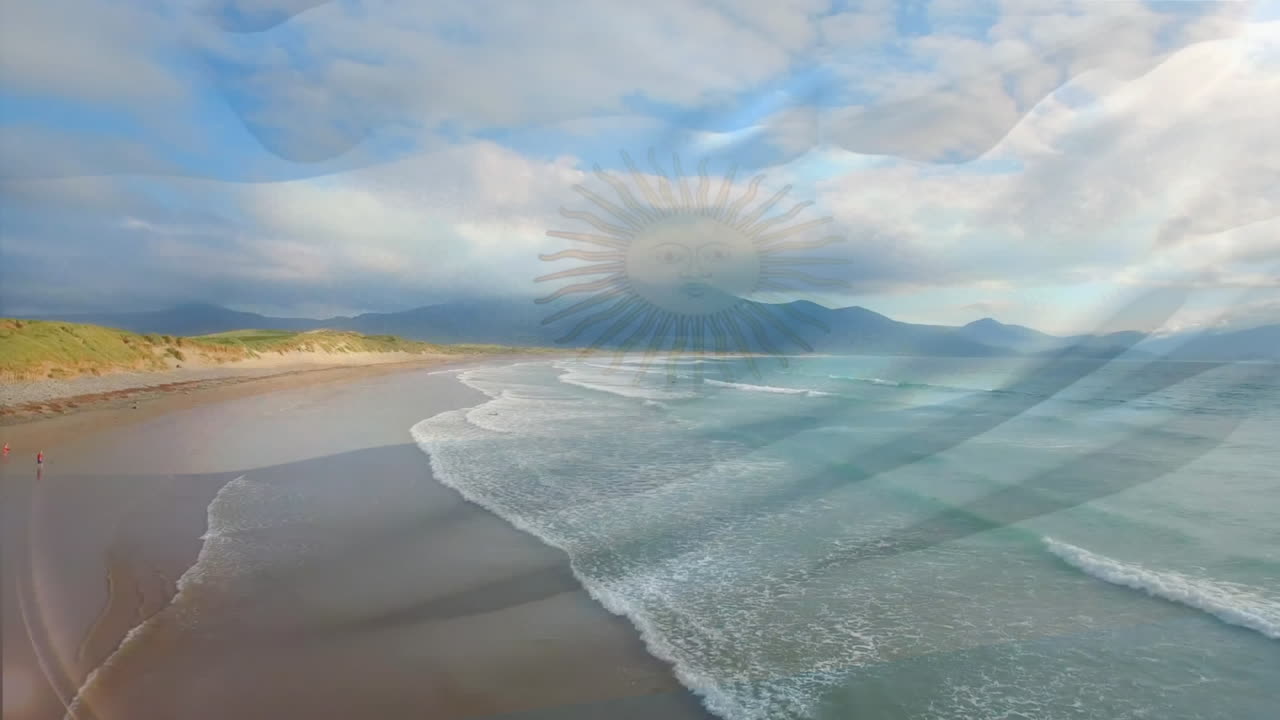 해변 해양 풍경 위에서 날아다니는 아르헨티나  ⁇ 발의 애니메이션