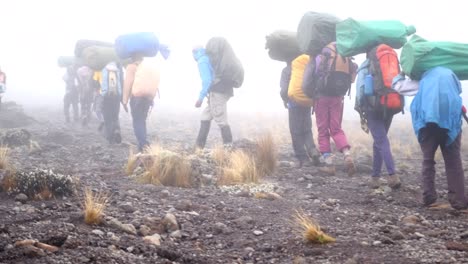 a group of porters with trunks on their heads and tourists with backpacks