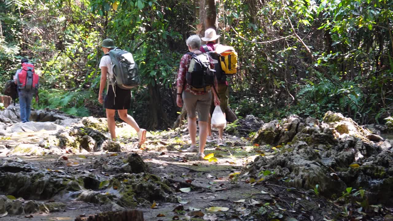 4 personas están haciendo senderismo en medio de la jungla del parque nacional sai yok en tailandia en el se asia
