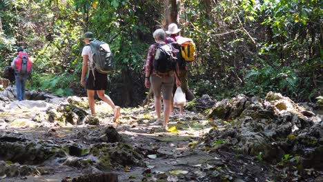 4 people are trekking in the middle of the jungle of sai yok national park in thailand in se asia