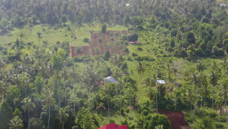 Casa-Con-Techo-Rojo-En-Una-Plantación-Tropical-Con-Palmeras,-Disparo-De-Drones