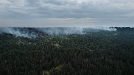 Incendio-Forestal.-Llamas-Y-Nubes-De-Humo.-Dron-Aéreo