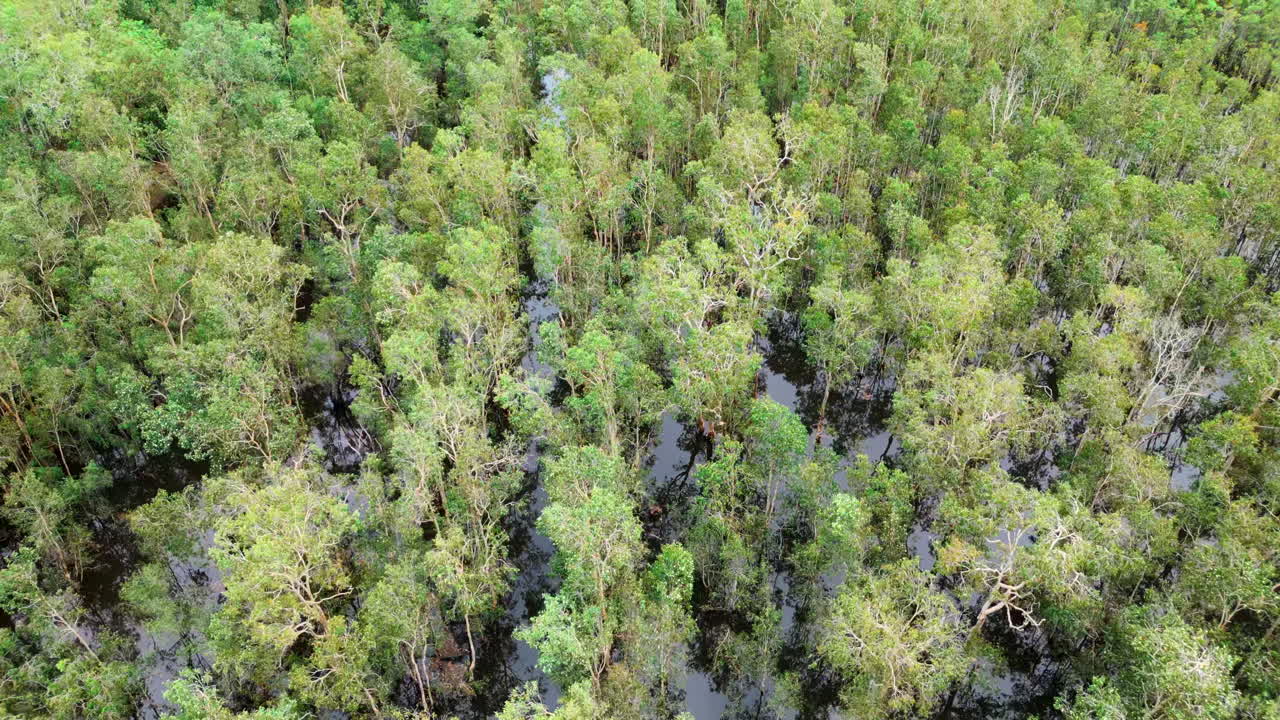 un dron aéreo de un bosque inundado con agua que refleja el cielo nublado un bloque vacío de una finca rural en el interior de australia
