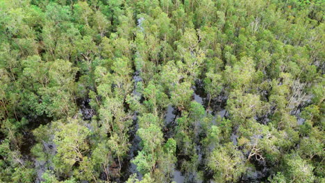 Drone-Aéreo-De-Bosque-Inundado-Con-Agua-Que-Refleja-El-Cielo-Nublado-Un-Bloque-Vacante-De-Finca-Rural-En-El-Interior-De-Australia