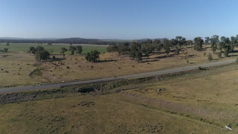 Vista-Aérea-De-Un-Ciclista-Acercándose-A-Una-Subida-De-Colina-En-La-Popular-Carrera-De-Cervezas-Y-Engranajes-Celebrada-En-La-Ciudad-Rural-De-Wagga-Wagga-Nsw-Australia-Rodeada-De-Un-Hermoso-Paisaje-Campestre