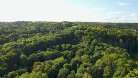 Lush-Green-Mountain-Forest-During-Summer-In-Sopot,-Poland