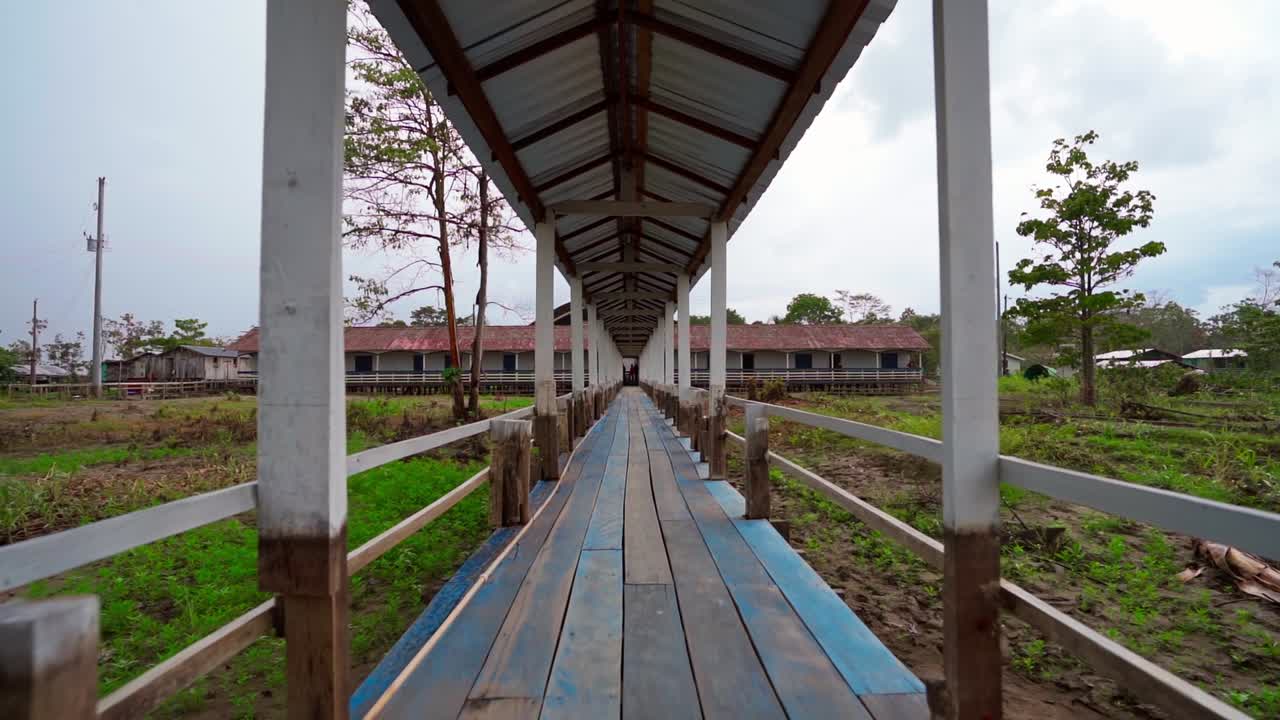 Wooden pathway leading through the rainforest in Manaus, Brazil with a village view