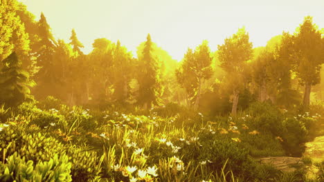 sunlight filters through vibrant trees in a serene woodland landscape