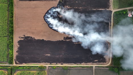 Bird's-Eye-Slash-and-Burn-Field-Huge-Smoke-Green-Around-Ecuador