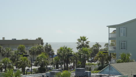 wide landscape of palm trees in folly beach, high angle