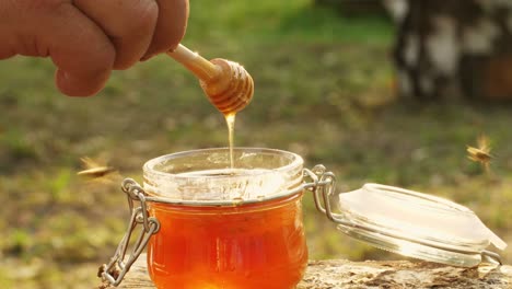 honey harvest