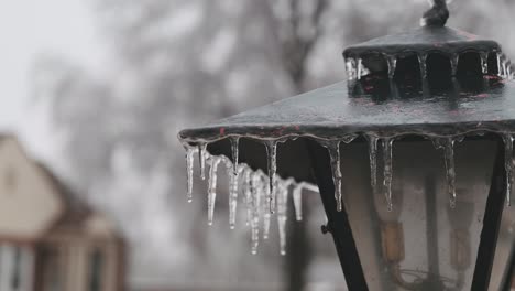 Water-slowly-drips-from-small-icicles-hanging-from-lamppost