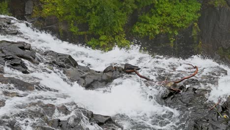 aerial shot of a powerful waterfall crashing over black rock surrounded by bright green forest in the remote wilderness