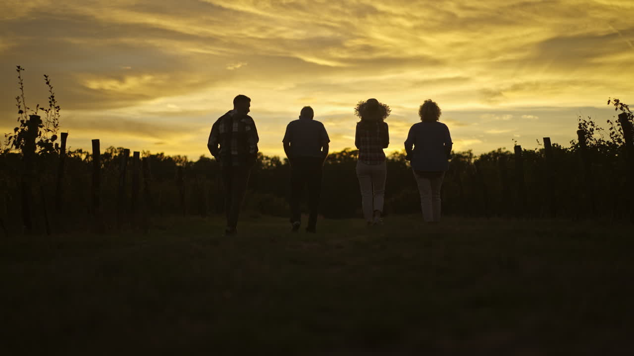 Group of people walking in a vineyard at sunset