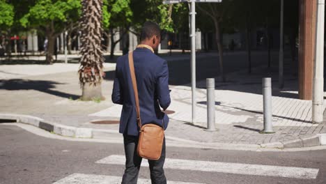 rear view of african american businessman walking on zebra crossing