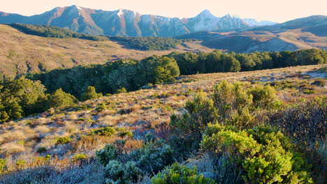 New-Zealand-Nature-Landscape-Hiking-Trail-In-Fiordland-National-Park-with-mountains-in-backdrop