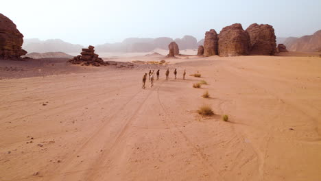 caravan of wild camels running in the desert of tassili n'ajjer national park near djanet at sunset in algeria