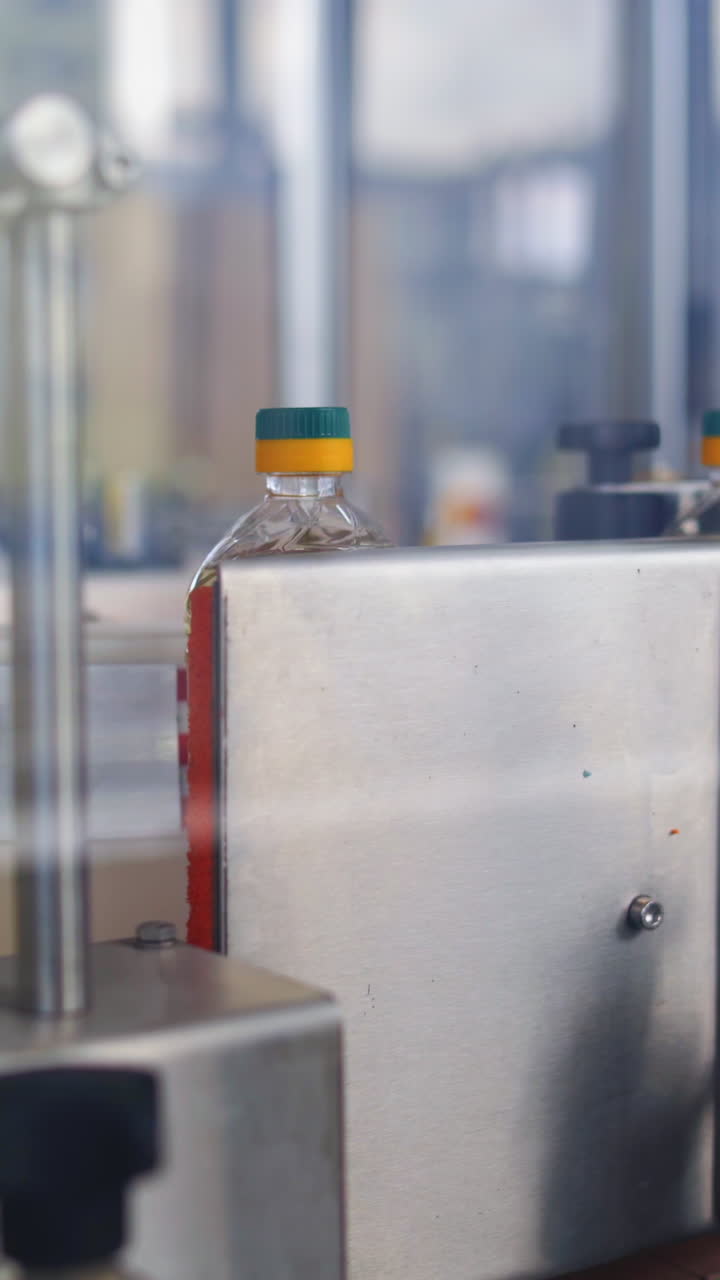 Bottles with fresh oil. Conveyor line for bottling and packing Vertical video