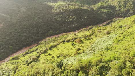 Vuelo-De-Drones-En-La-Ladera-De-La-Montaña